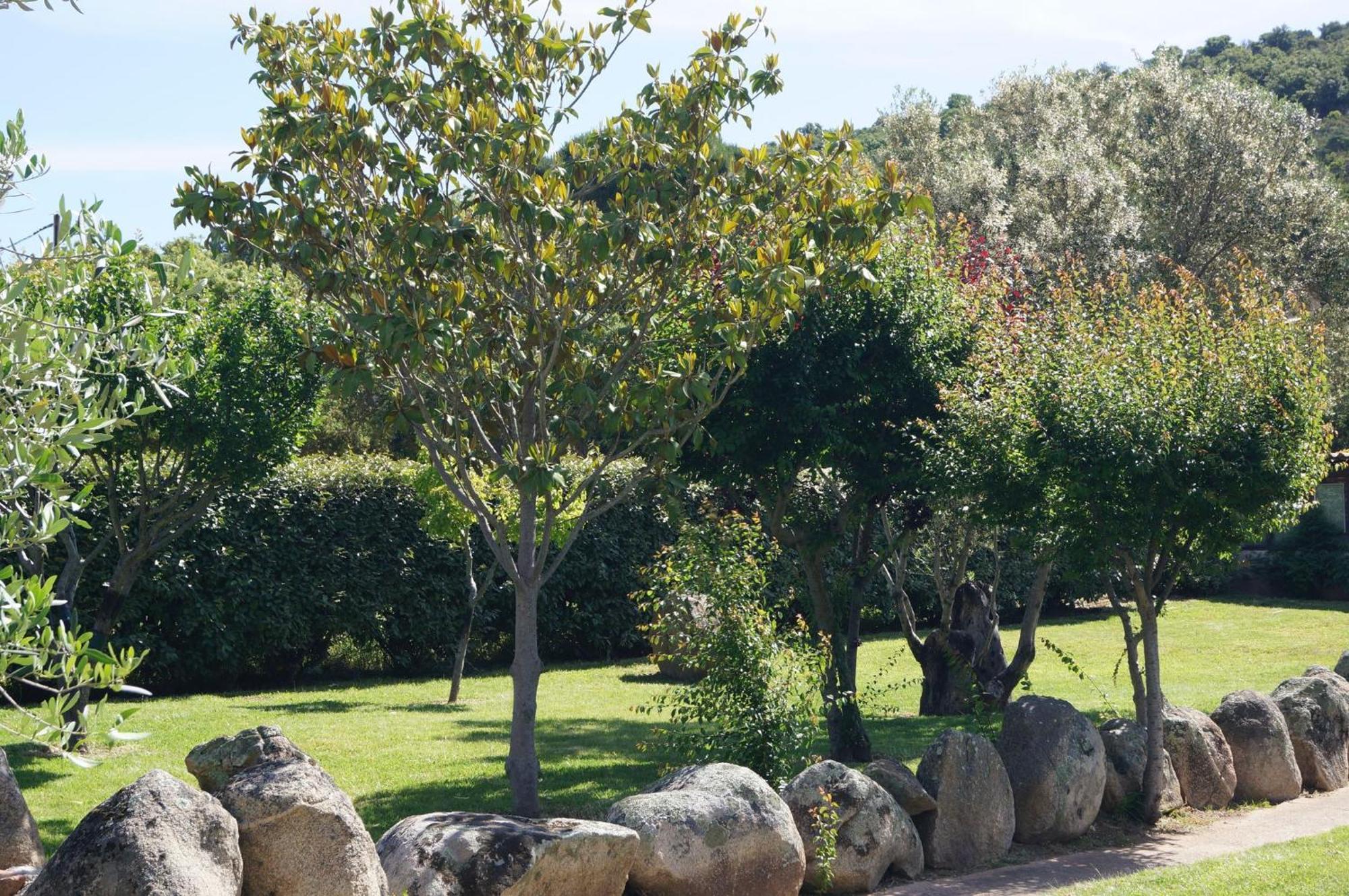 Les Jardins De Santa Giulia - Charmante Chambre D'Hote Porto-Vecchio  Exterior photo